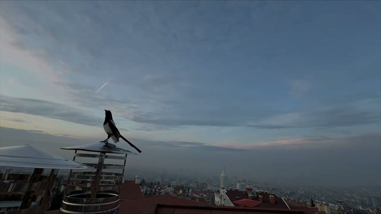 Yıl sonu.