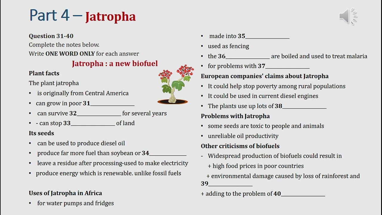 IELTS listening actual test Part 4: Jatropha (answer+ transcript)