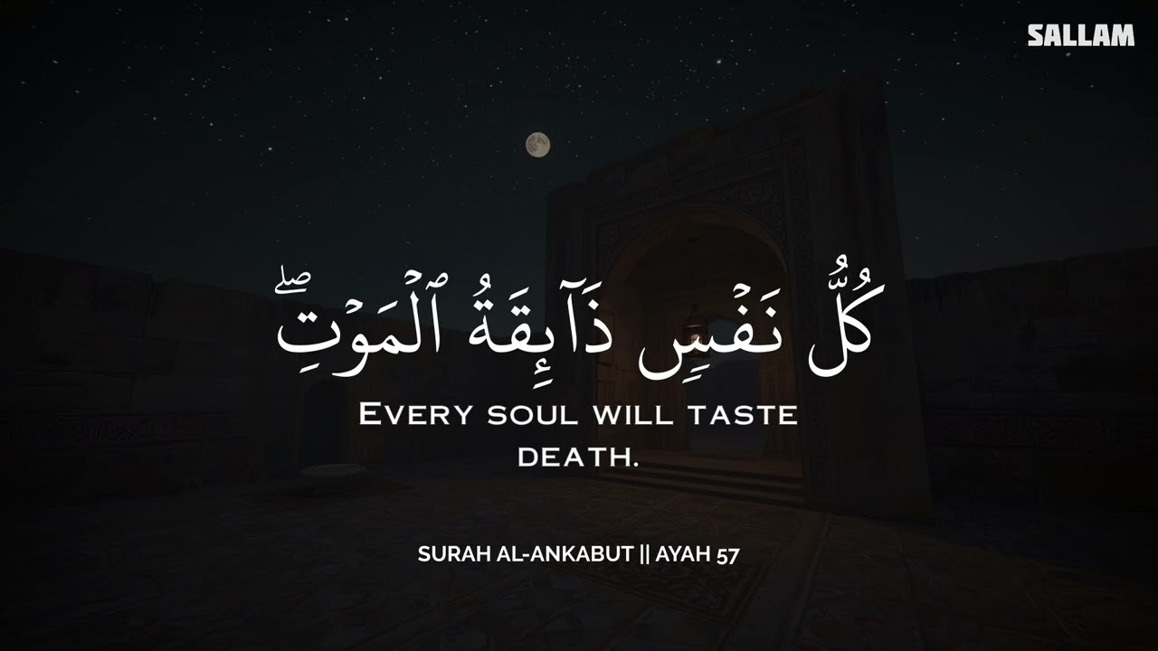 أرح سمعك وقلبك بالقرآن - تلاوة تقشعر لها الأبدان بصوت محمد ديبيروف | Muhammad Dibirov | ❤️🎧