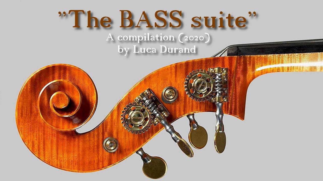 ''The BASS suite