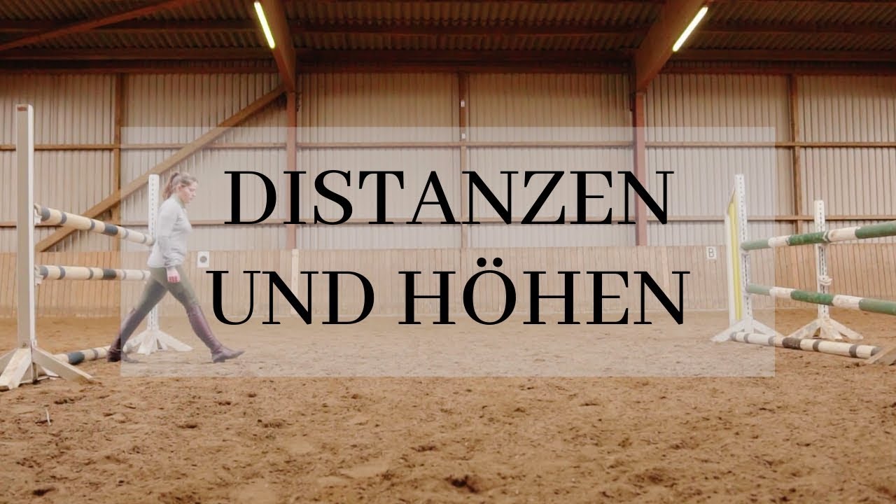 Basiswissen Springsport - Distanzen und Sprunghöhen