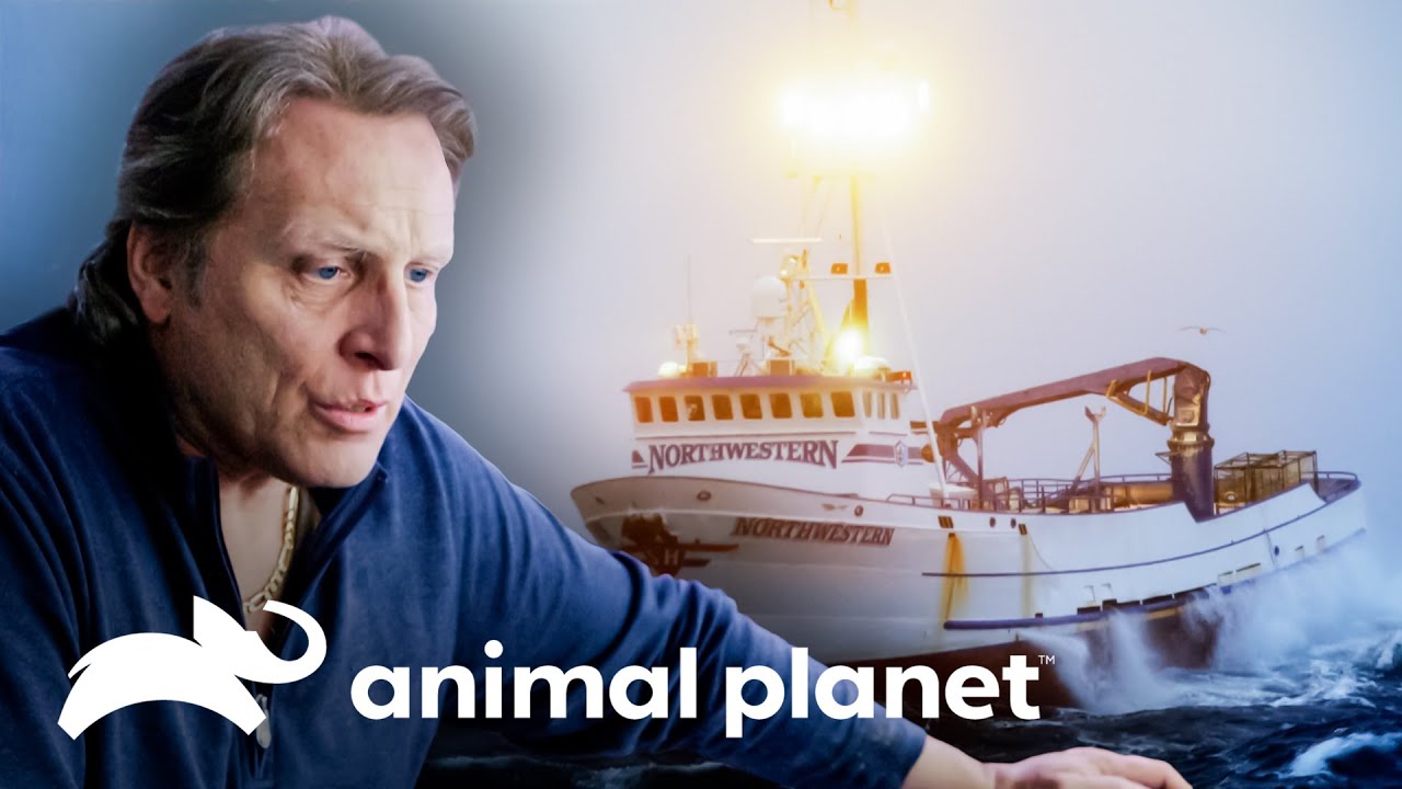 Northwestern perde o guindaste em meio a uma forte tempestade | Pesca Mortal | Animal Planet Brasil