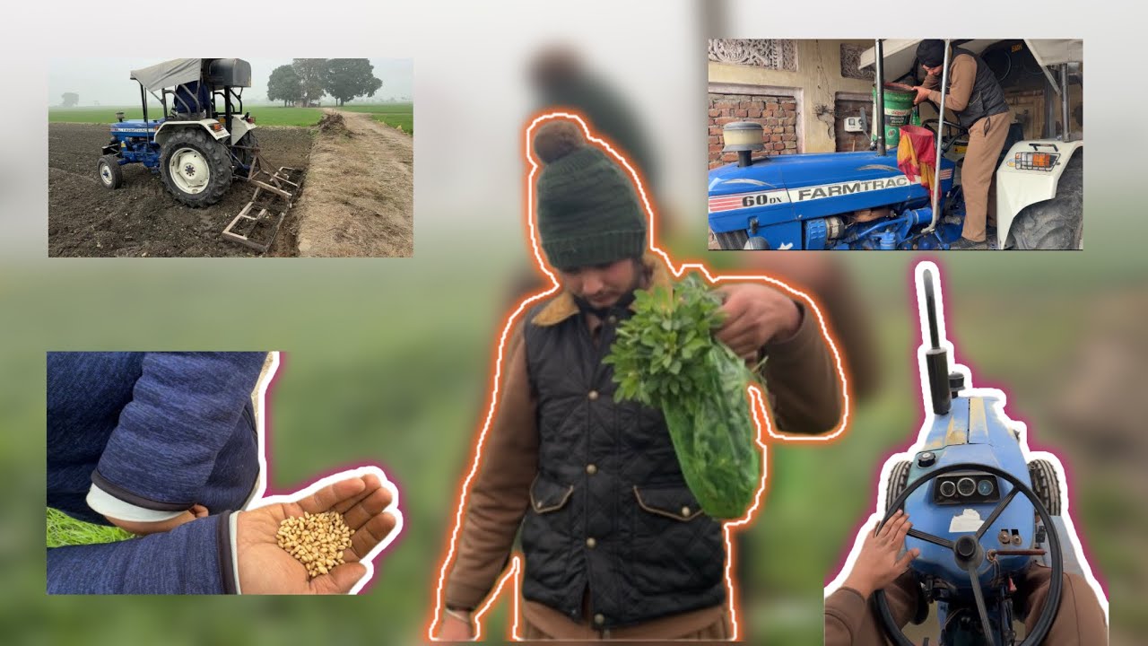 ਕਣਕ ਦੀ ਵੱਜਾਈ 7 January ਨੂੰ 😆 #vlog #punjabivlog #trendingvlogs #viralvideo 