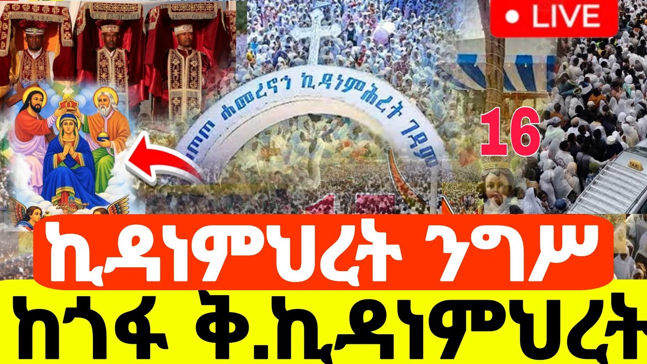 🔴#live_የካቲት 16‼️#ከጎፋ ቤዛ ብዙኅን ቅድስት#ኪዳነምህረት ካቴድራል #ንግሥ#ethiopian#orthodox @batekirekosemedia#eotc 