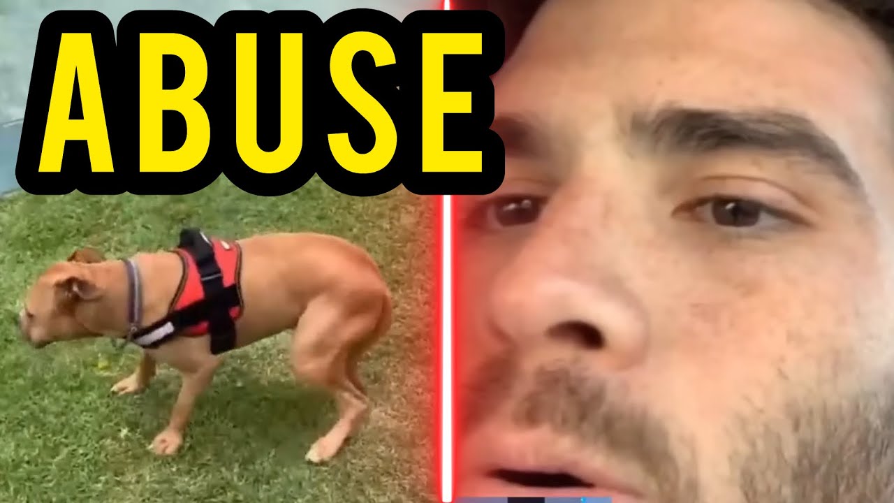 BREAKING YIKES: Yet Another Extremely DISTURBING Hasan Dog Clip Surfaces Online...
