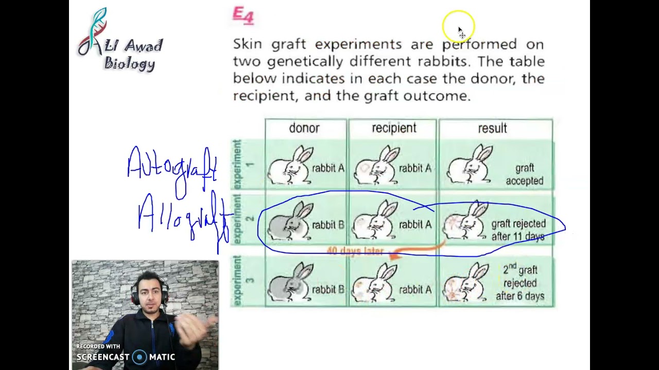 Solving Ex 4 on the book graft rejection in rabbits #Grade_8