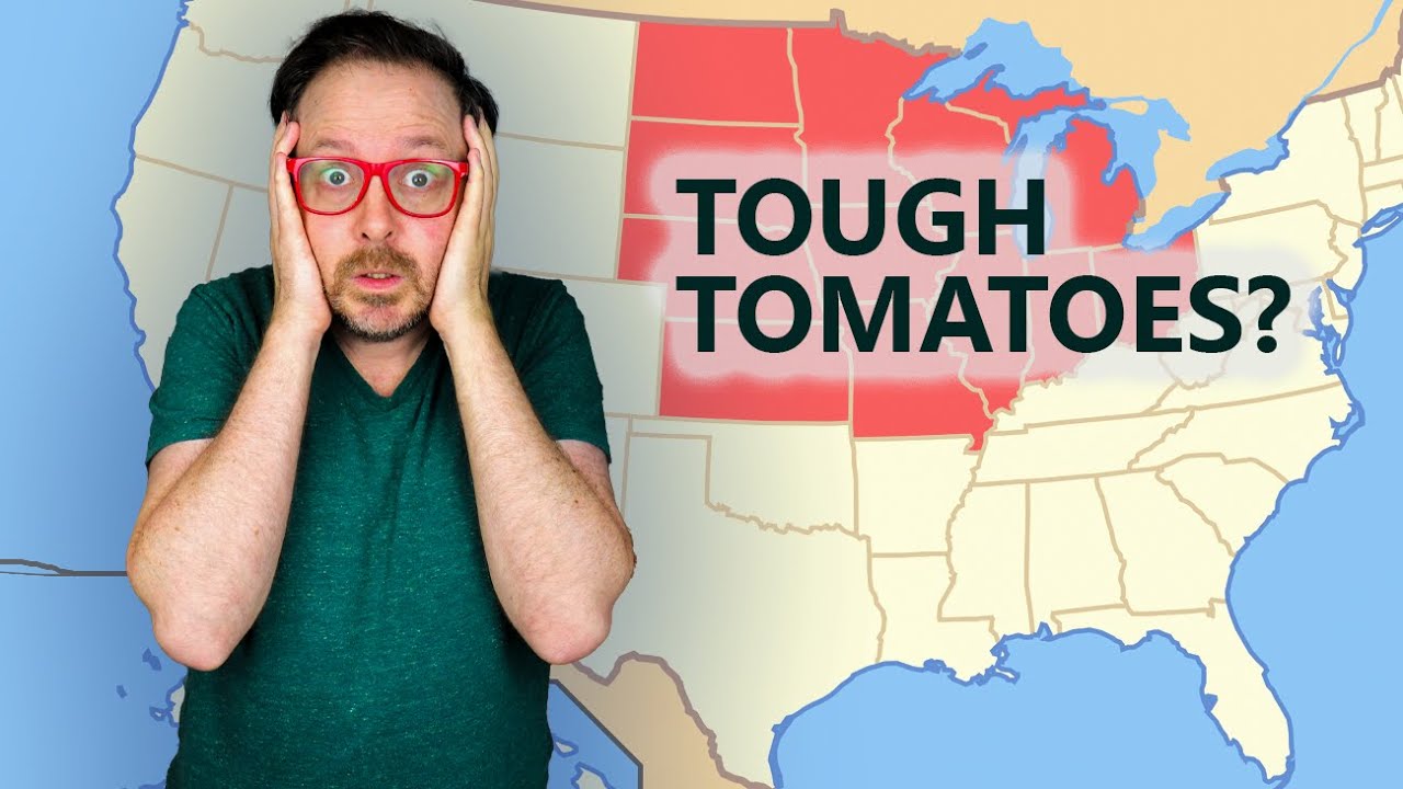 Guessing What These US Midwestern Words Mean
