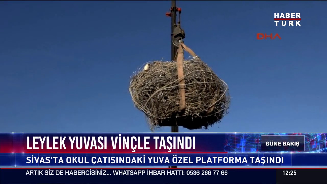 Leylek yuvası vinçle taşındı