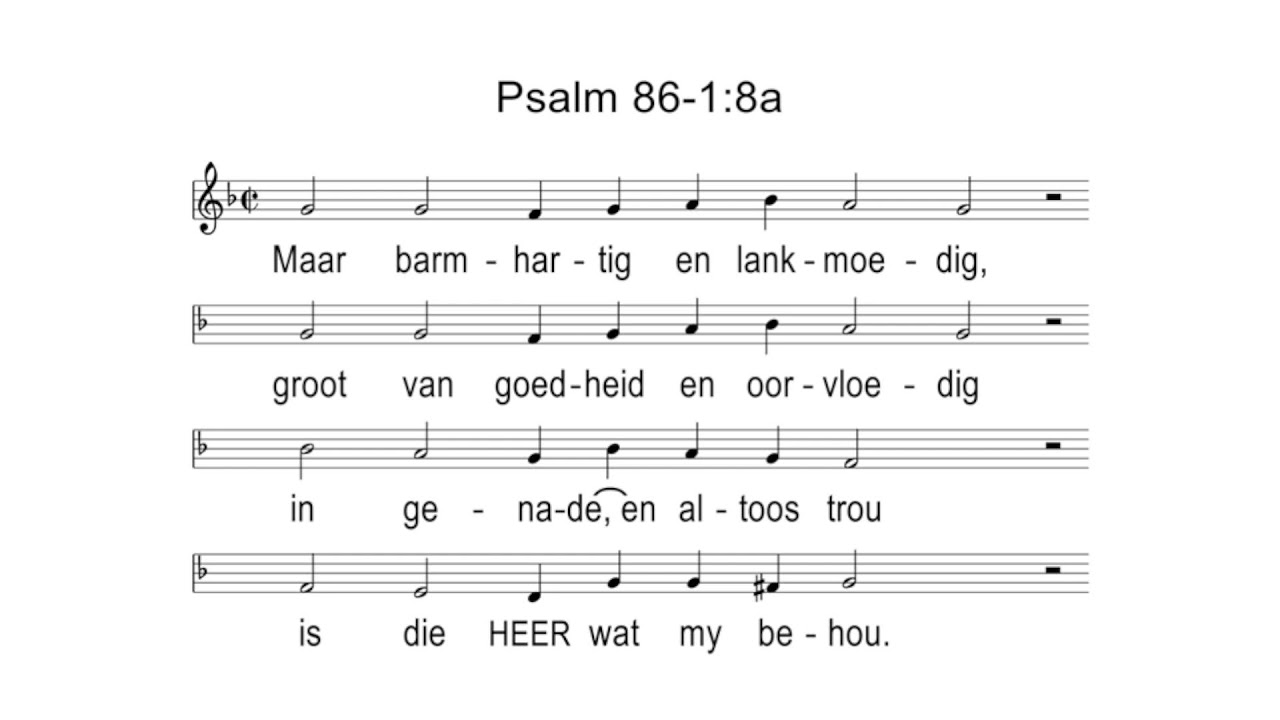 Heidelbergse Kategismus Sondag 2 | DIE WET VAN GOD TROOS ONS IN ONS ELLENDE | Dr. Gerard Meijer