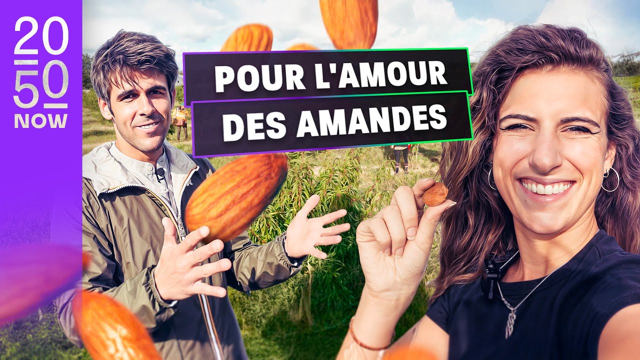Ils ont planté 25 000 amandiers dans le sud de la France !