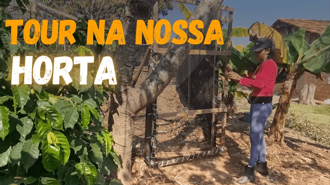 16 | Como está ficando nossa horta refeita?