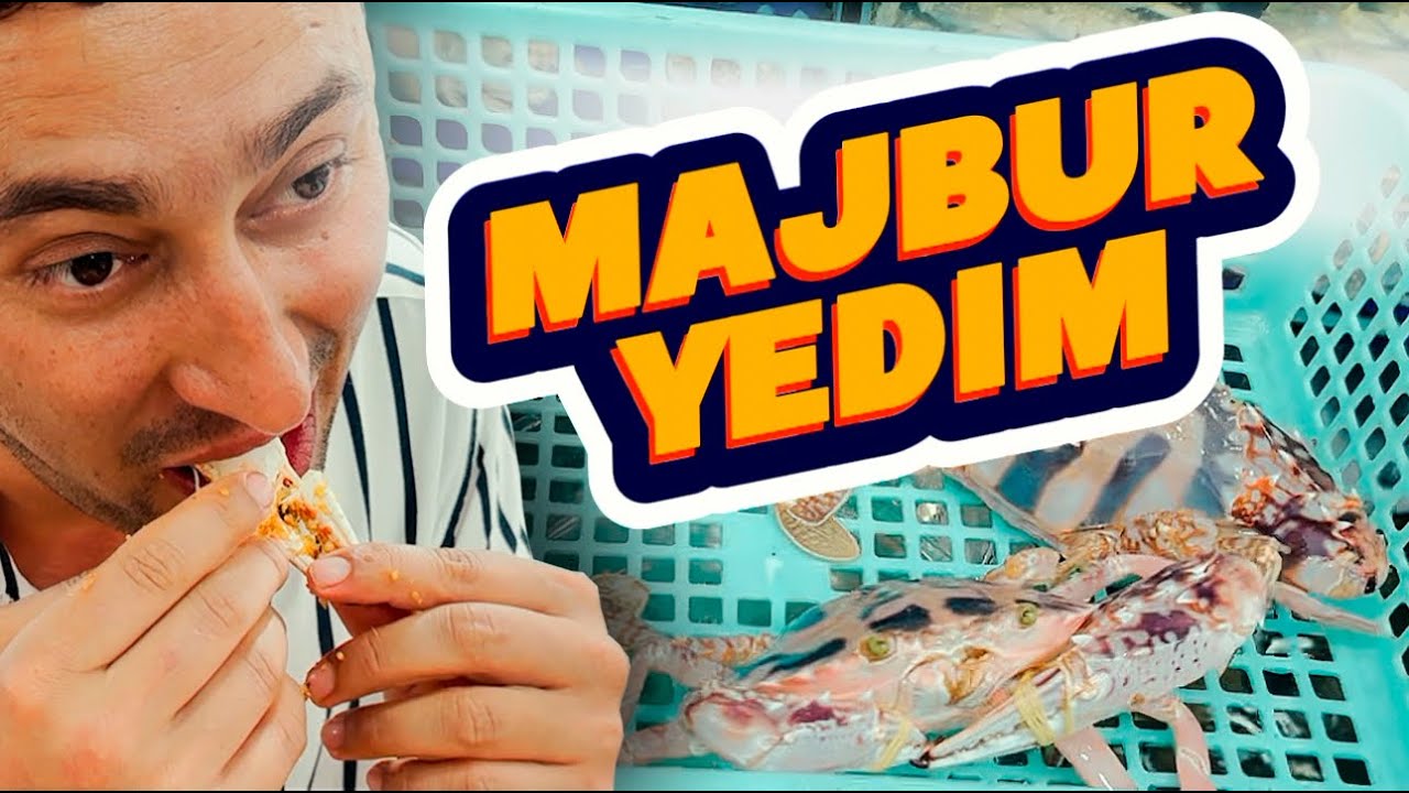 ВЬЕТНАМДА ҚИСҚИЧБАҚА ЕБ КЎРДИМ! МАЗАЛИМИ?