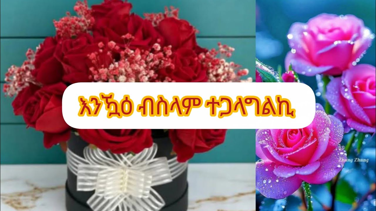 እንዃዕ ብስላም ተጋላግልኪ