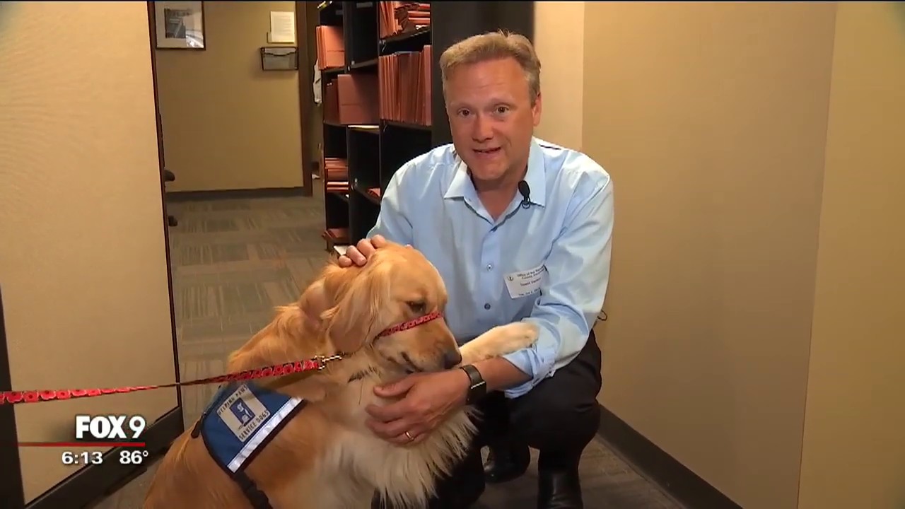 Dog brings calming presence to victims at Ramsey County Attorney's Office in St. Paul