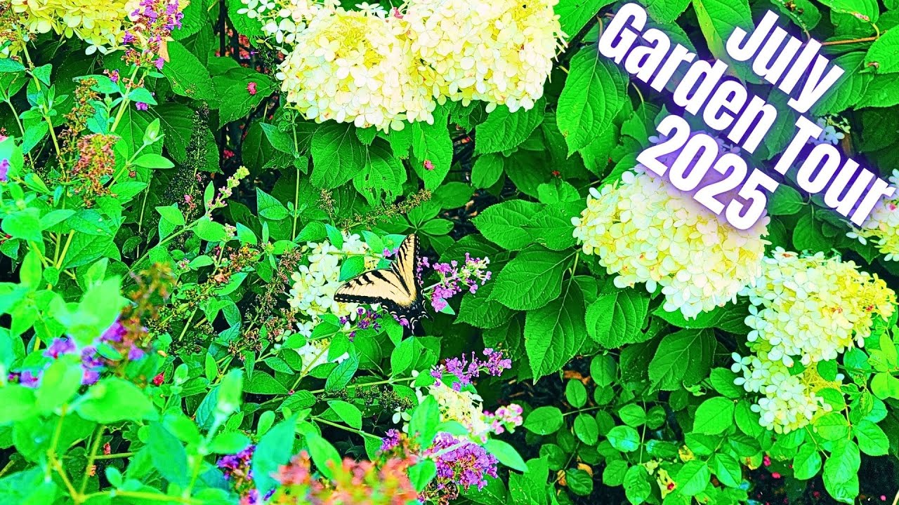 July 2025 Garden Tour | Nature Sounds With Plant Names