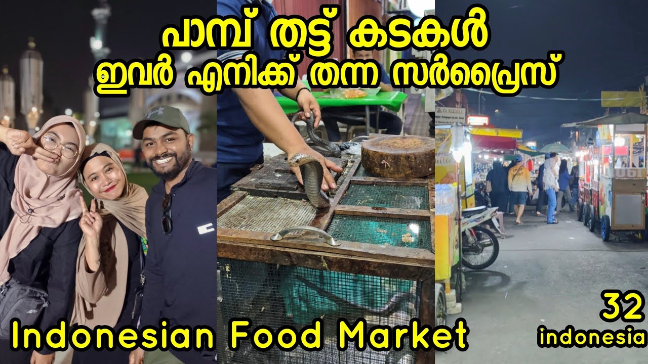 🇮🇩32 ഇന്തോനേഷ്യയിലെ പാമ്പ് തട്ടുകടകൾ 😲നിശാ തെരുവിൽ ഇവരൊരുക്കിയ സർപ്രൈസ് Indonesian Night Food Market