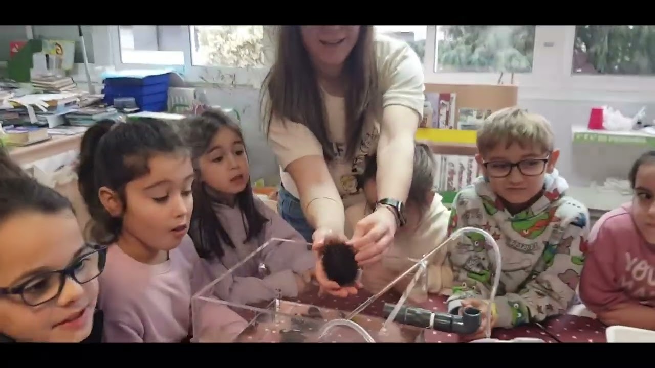 DIVULGACIÓN PROXECTO PROBLEU EDIFICIO REDEIRAS CEIP RÍA DE VIGO