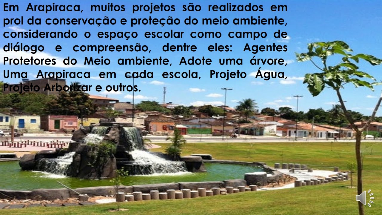 EDUCA&Ccedil;&Atilde;O AMBIIENTAL