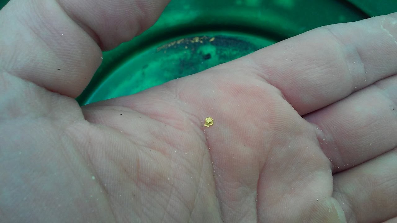 Georgia Gold Prospecting | A&M Mining (How to find gold in creeks with a pan & shovel) April 2017
