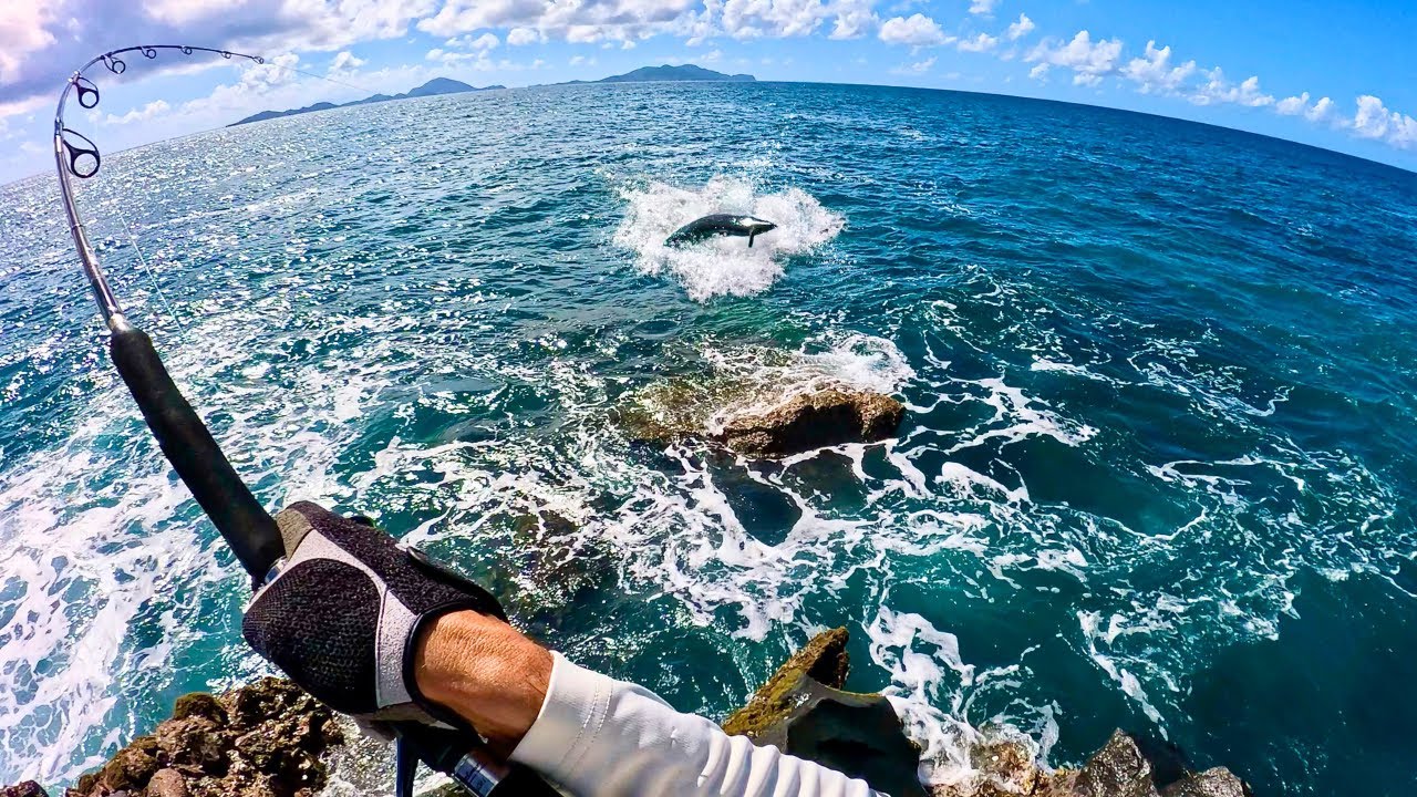 Ce Barracuda Monstre Était Déterminé! Session Mémorable - PÊCHE AU LEURRE