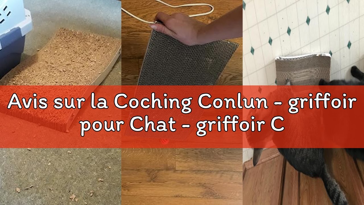 Avis sur la Coching Conlun - griffoir pour Chat - griffoir Chats Carton avec Texture Scratch Premium