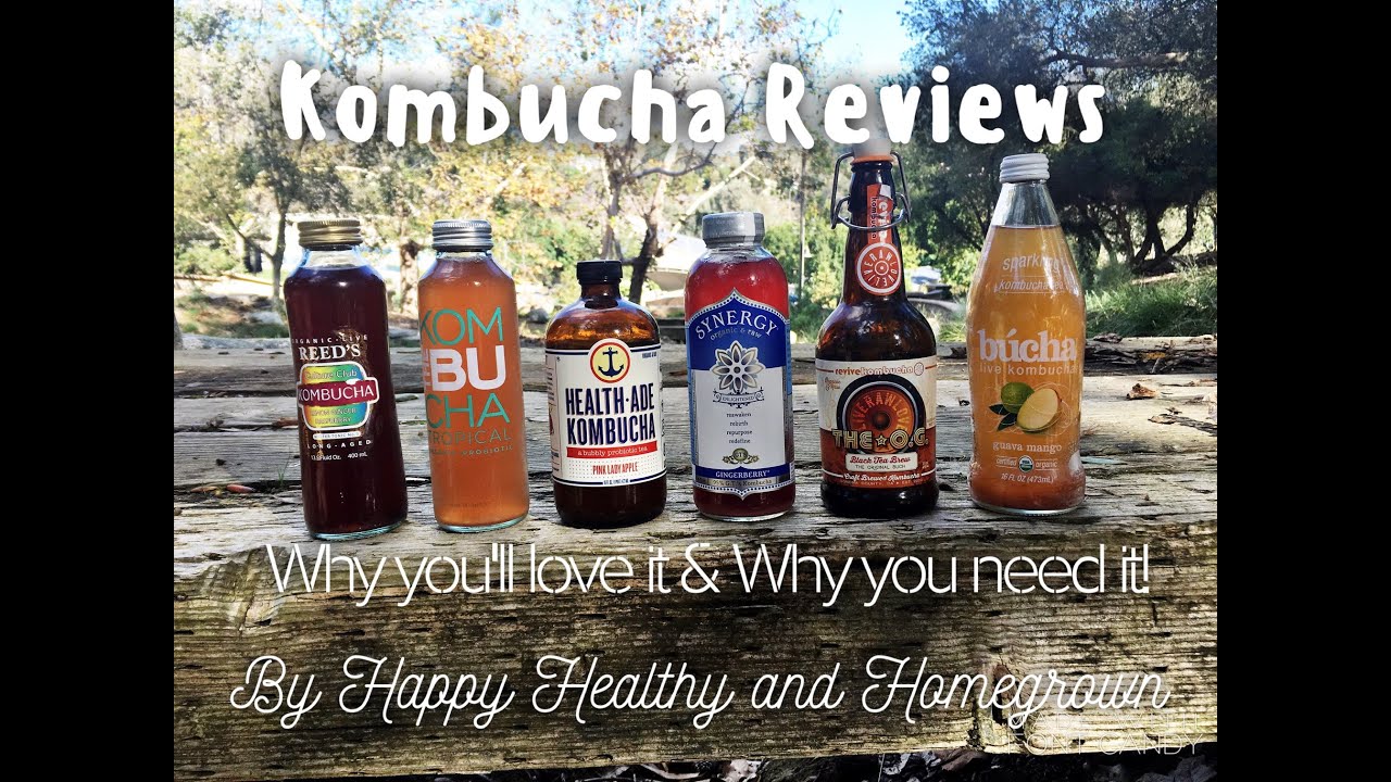 Kombucha Reviews! Why you'll love it! & Why you need it!