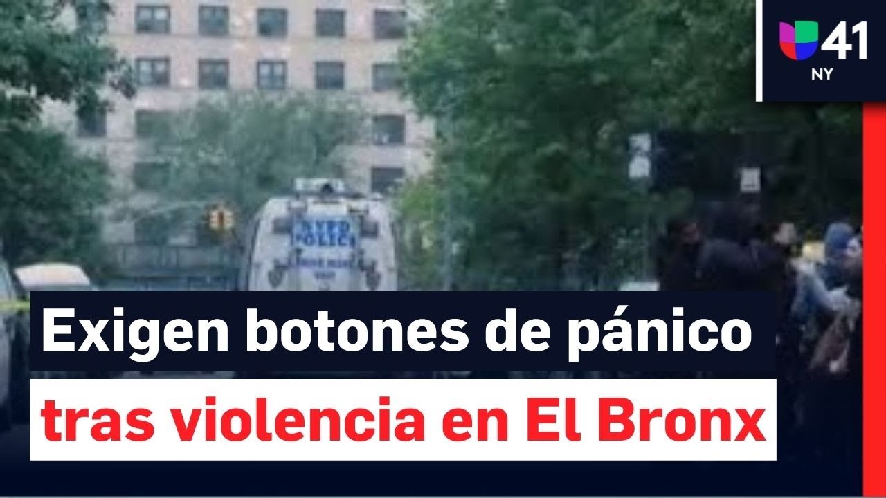 Tiroteo mortal en El Bronx: bodegueros piden botones de pánico tras muerte de hombre de 38 años