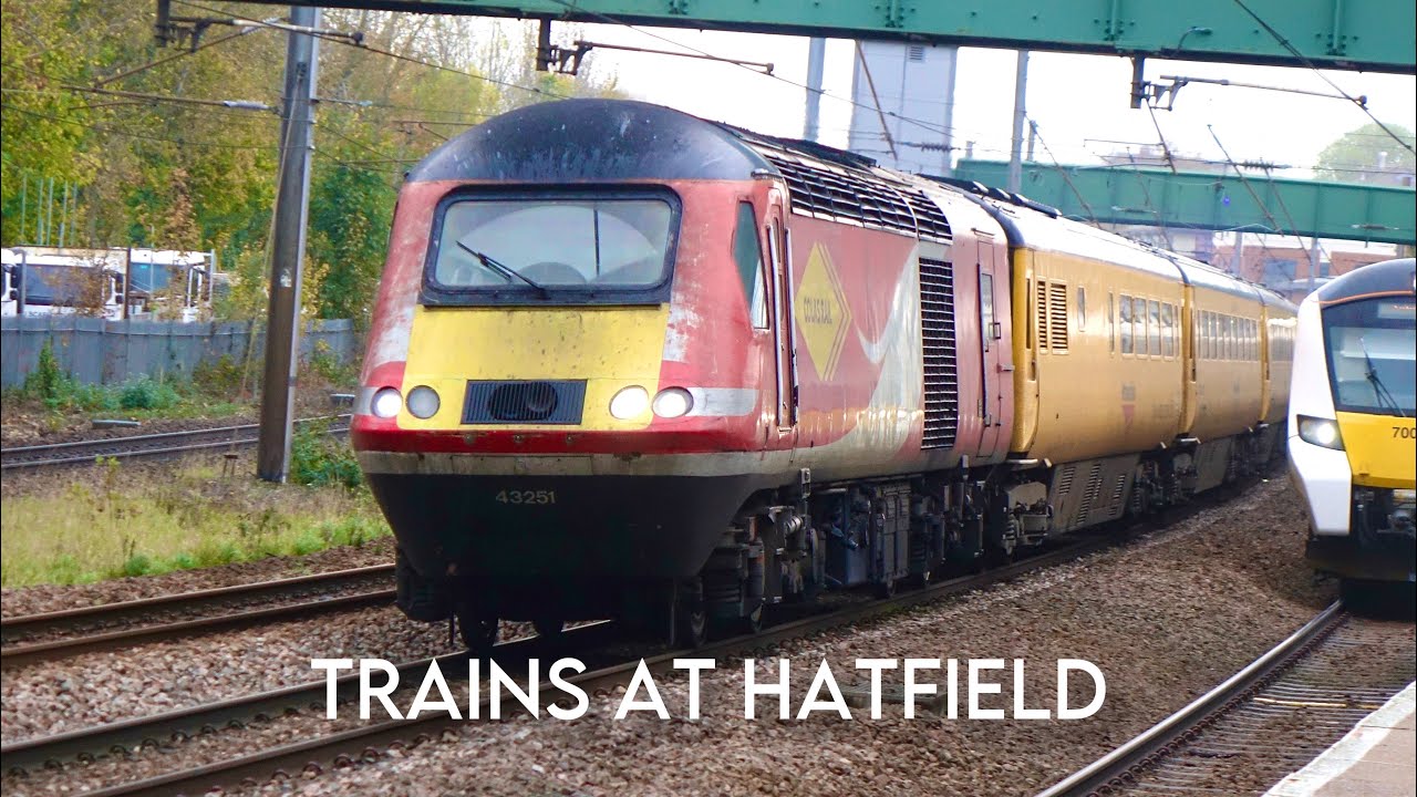 Trains at Hatfield Station | 28.10.24