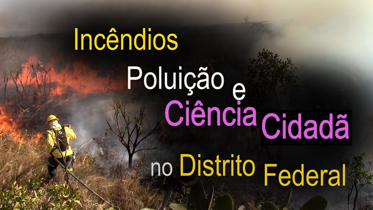 Incêndios, poluição e ciência cidadã no Distrito Federal