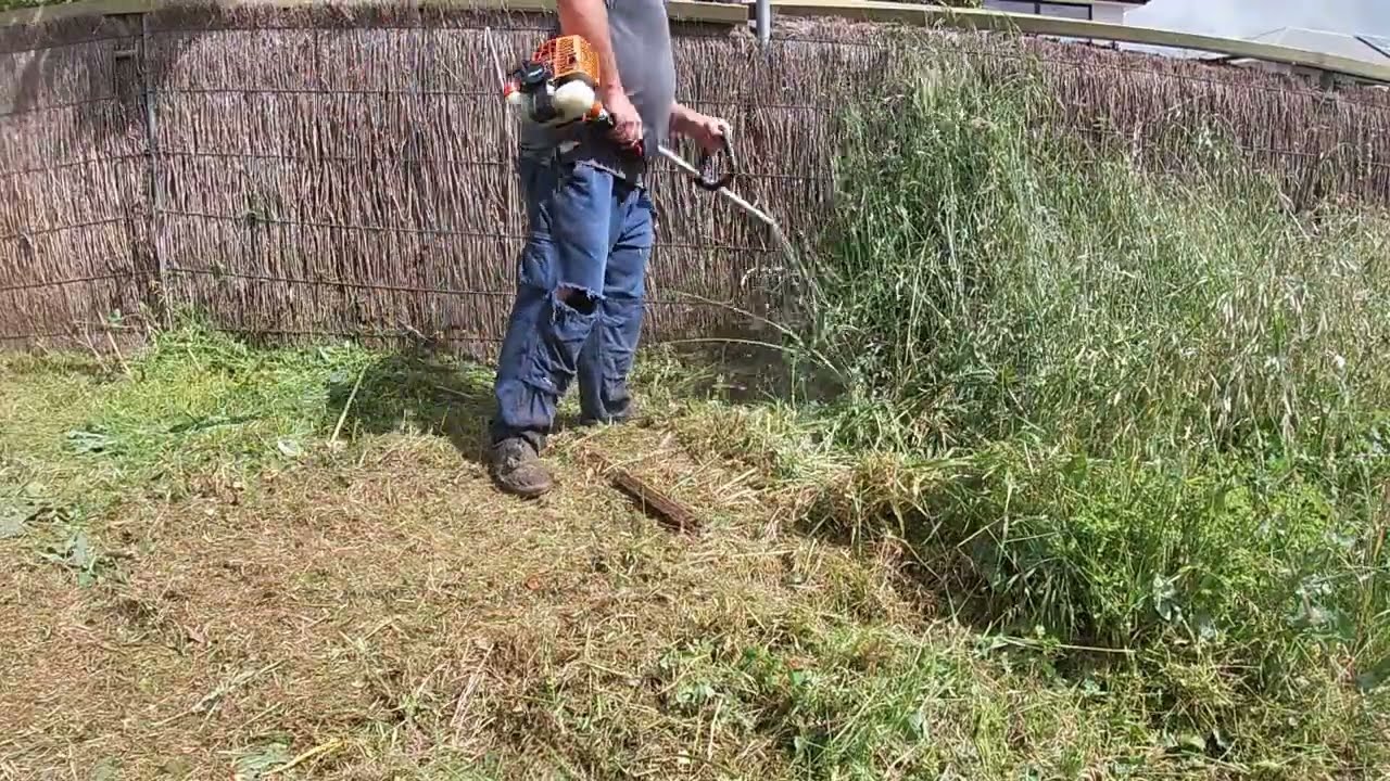 Overgrown yard clean up to avoid city violation fine | Tall grass cutting | #OvergrownYardCleanup