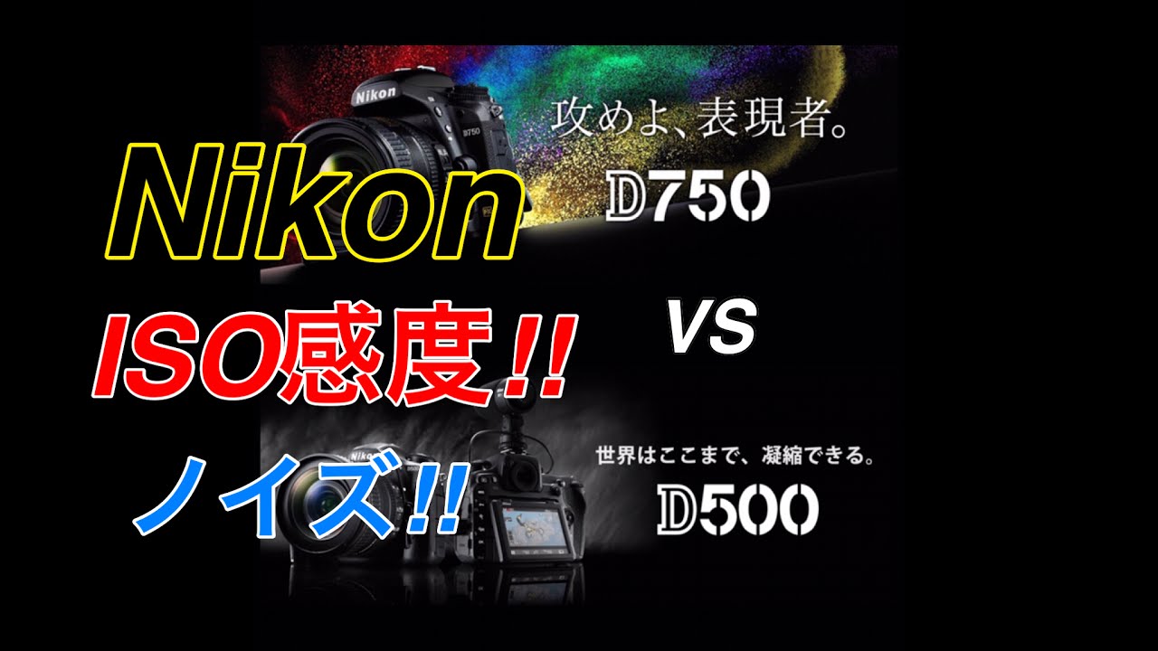 ISO感度!画質比較!!  D750 VS D500 高感度!!比較!! ※できれば全画面にてご覧ください☆