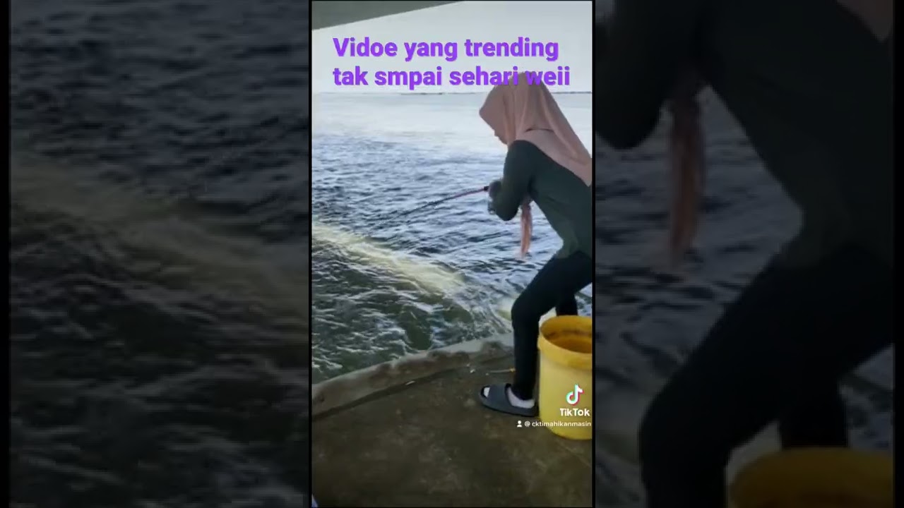 Pancing ikan di jambatan pulau pinang