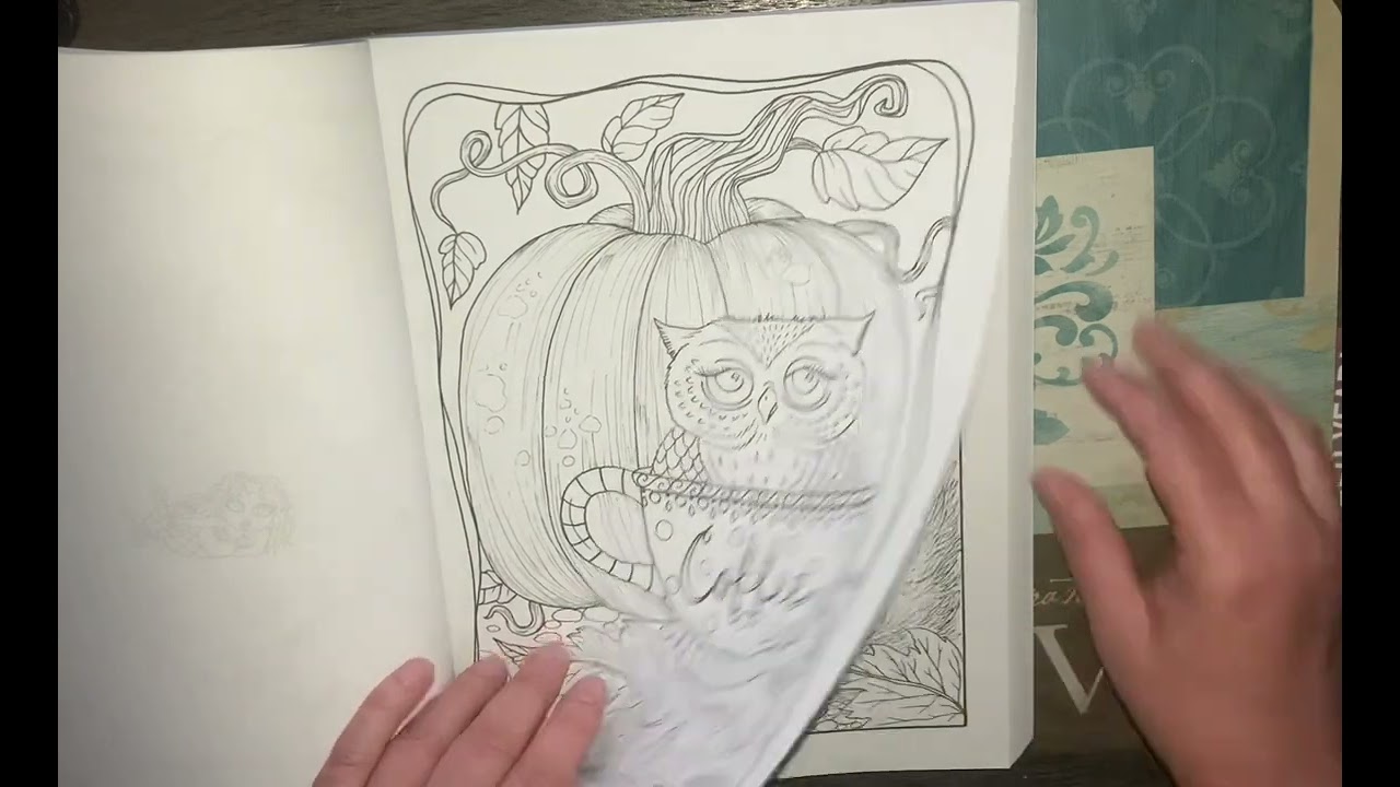 The Big,Mega coloring book by Deborah Muller flip through