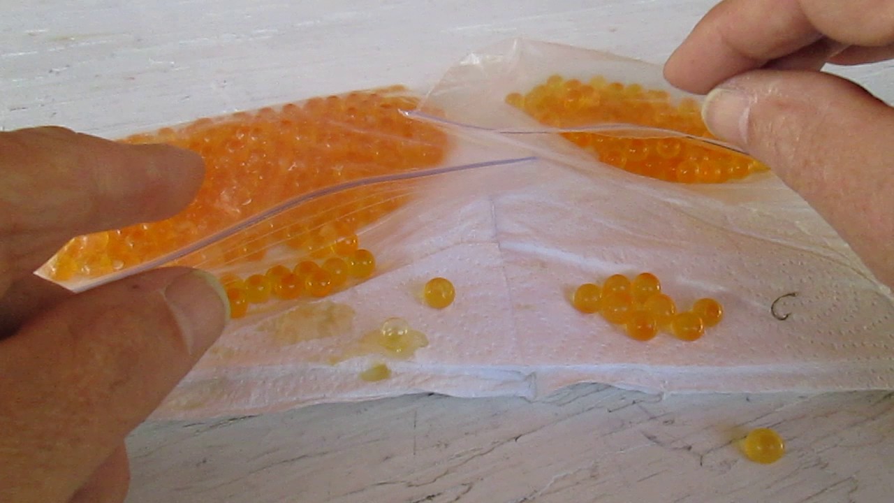 Single egg treatment results