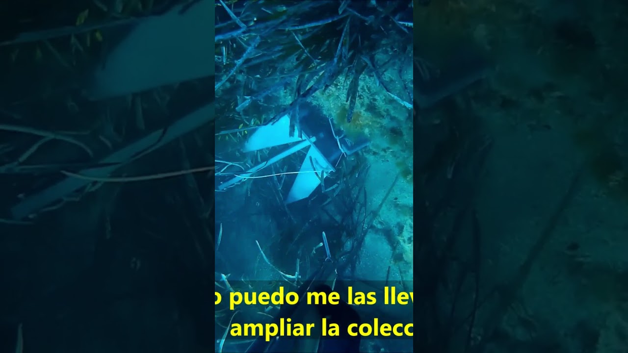 PESCA SUBMARINA RESCATE DE UN ANCLA PERDIDA QUE ME ENCONTRE Y PARA CASA