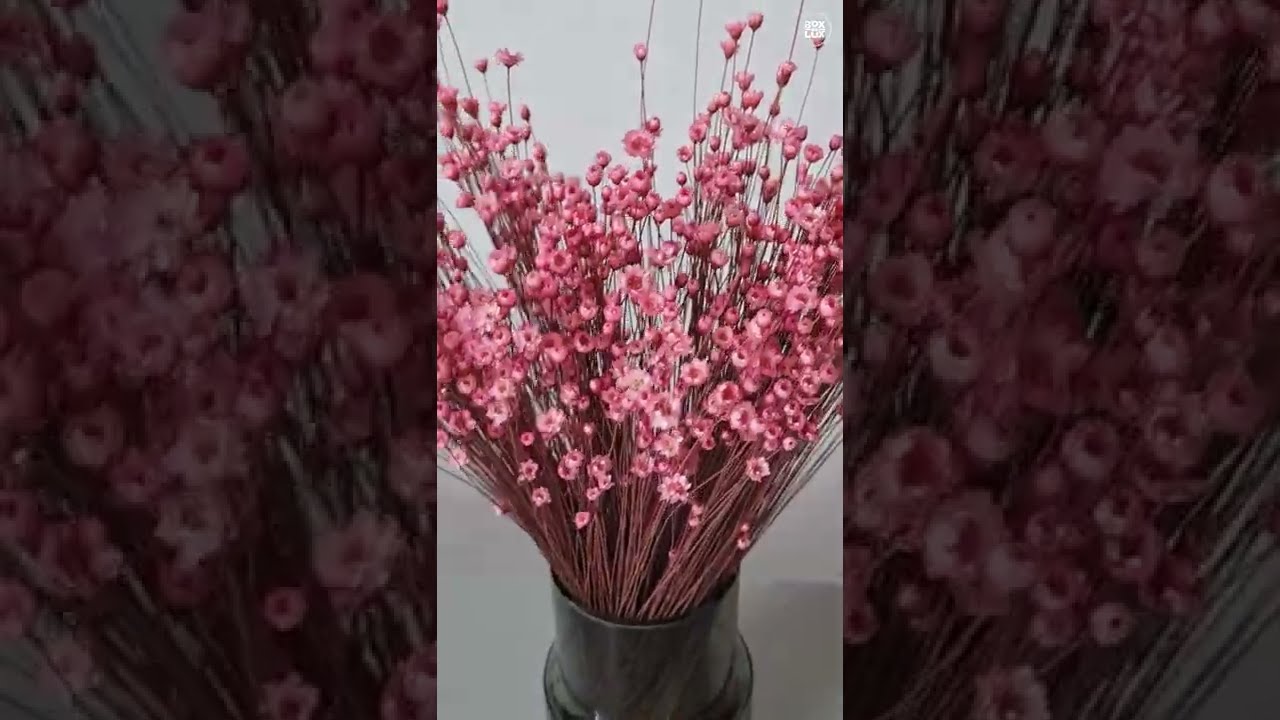 Boxdelux t&oslash;rrede blomster   Glixia i pink