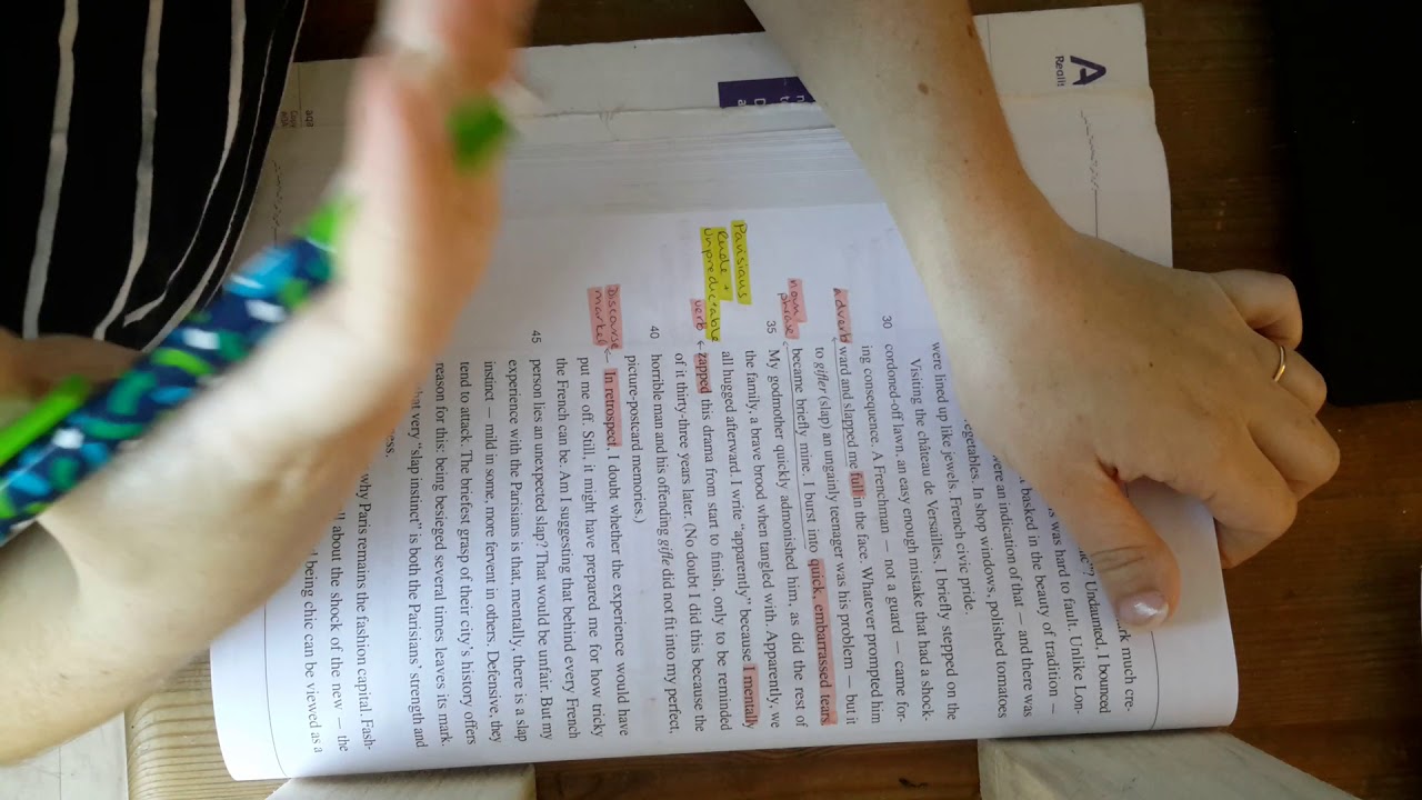 Y12 LangLit Understanding Chic Annotations