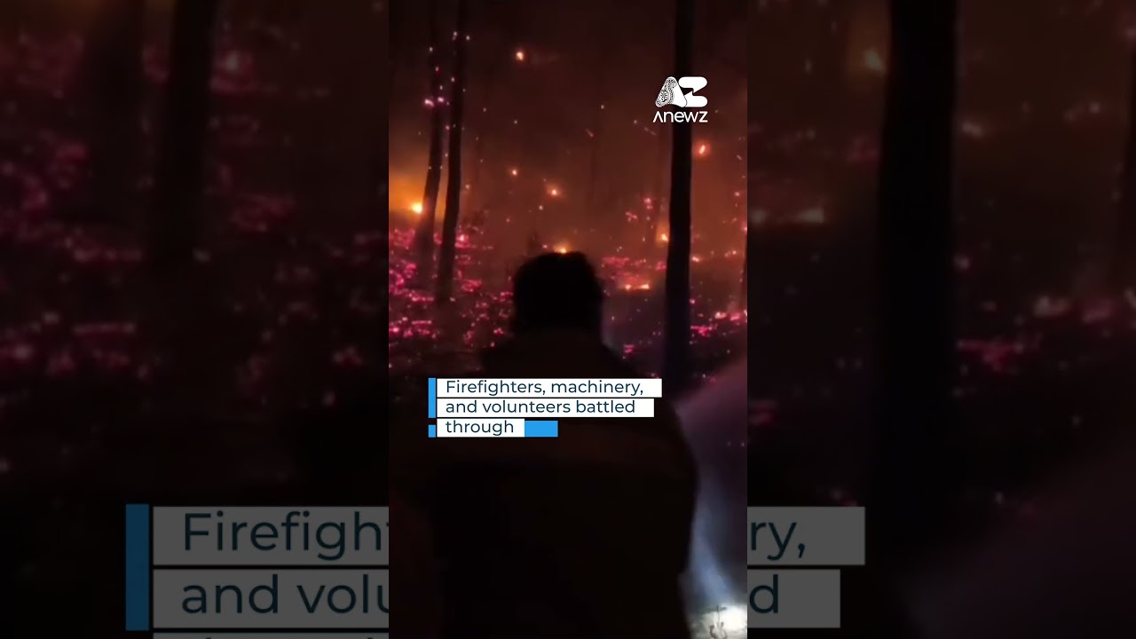 Forest fire breaks out in Muğla&rsquo;s Milas district