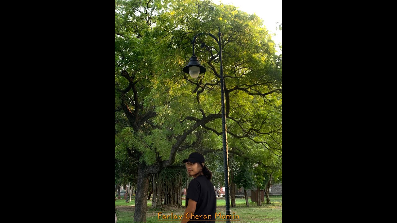 Ninapaha By Farlay Cheran Momin Karoake track with Lyrics