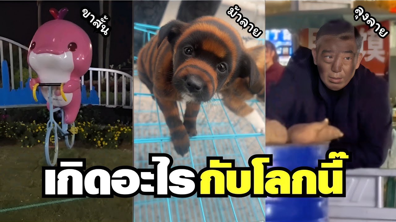 มันเกิดอะไรขึ้นกับโลกนี้ แต่ละวันจะฮาเกินไปแล้ว !! ( พากย์นรก ) EP.83