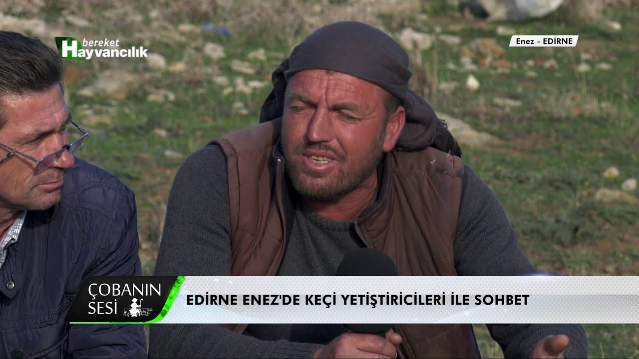 Çobanın Sesi - Halep Keçisi / Edirne - Enez