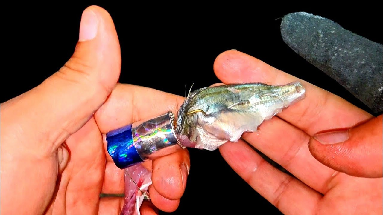 HAMSİ VE İSTAVRİT FLETO KIYIDAN LÜFER ÇİNEKOP AVI #lüfer #lüferavı #çinekopavı #çinekop #bluefish