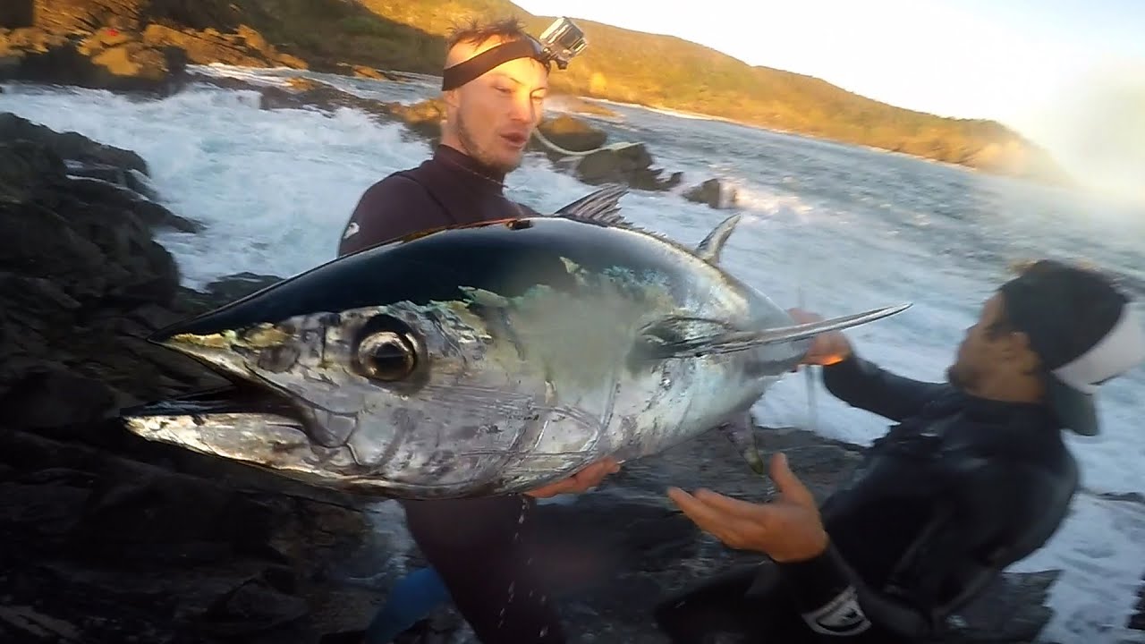 Fishing for Northern Bluefin Tuna