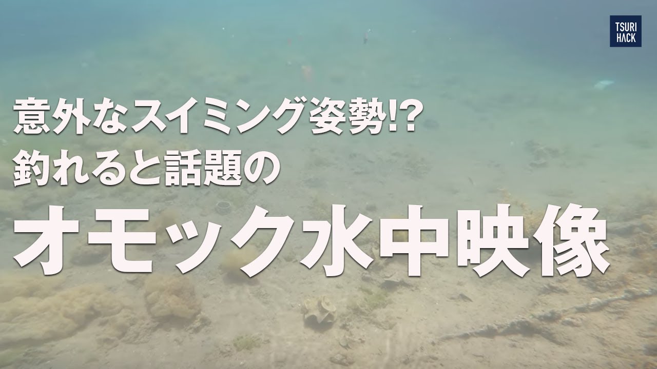 意外なスイミング姿勢!? 釣れると話題のオモック水中映像公開