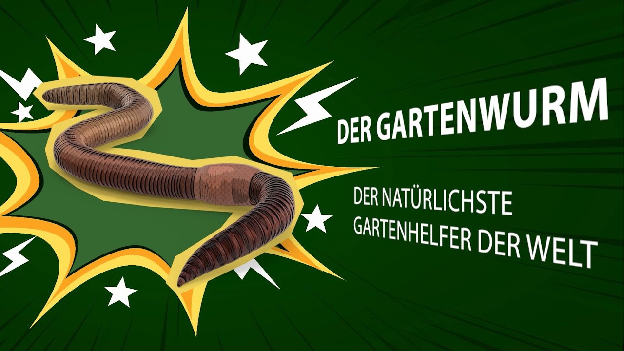 Gartenw&uuml;rmer - ein hervorragender Bodenverbesserer!