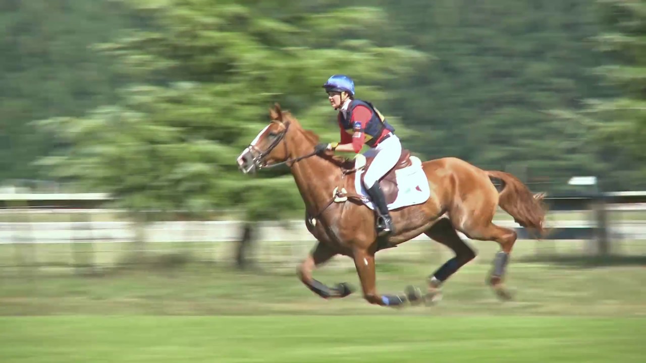Mirimichi Green - Equine Spot (60s)