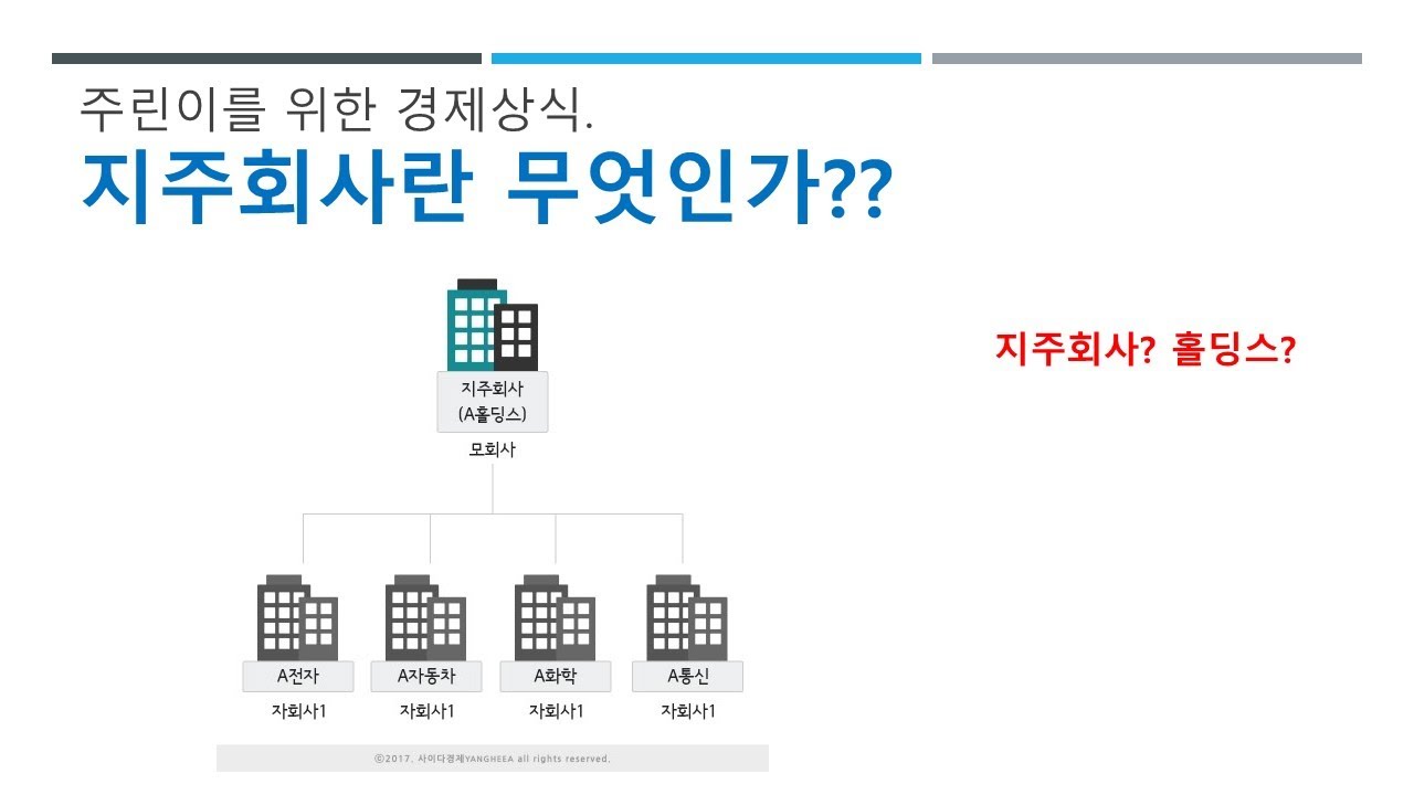 주린이를 위한 경제상식. 지주회사 홀딩스는 무엇인가? 지주회사의 역할