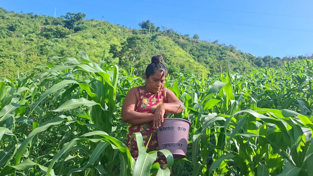 Doña rosalina feliz con su cosecha 🌱