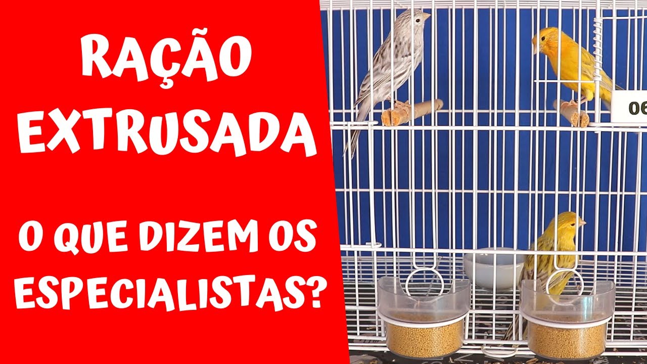 ESPECIALISTAS FALANDO SOBRE RAÇÃO EXTRUSADA