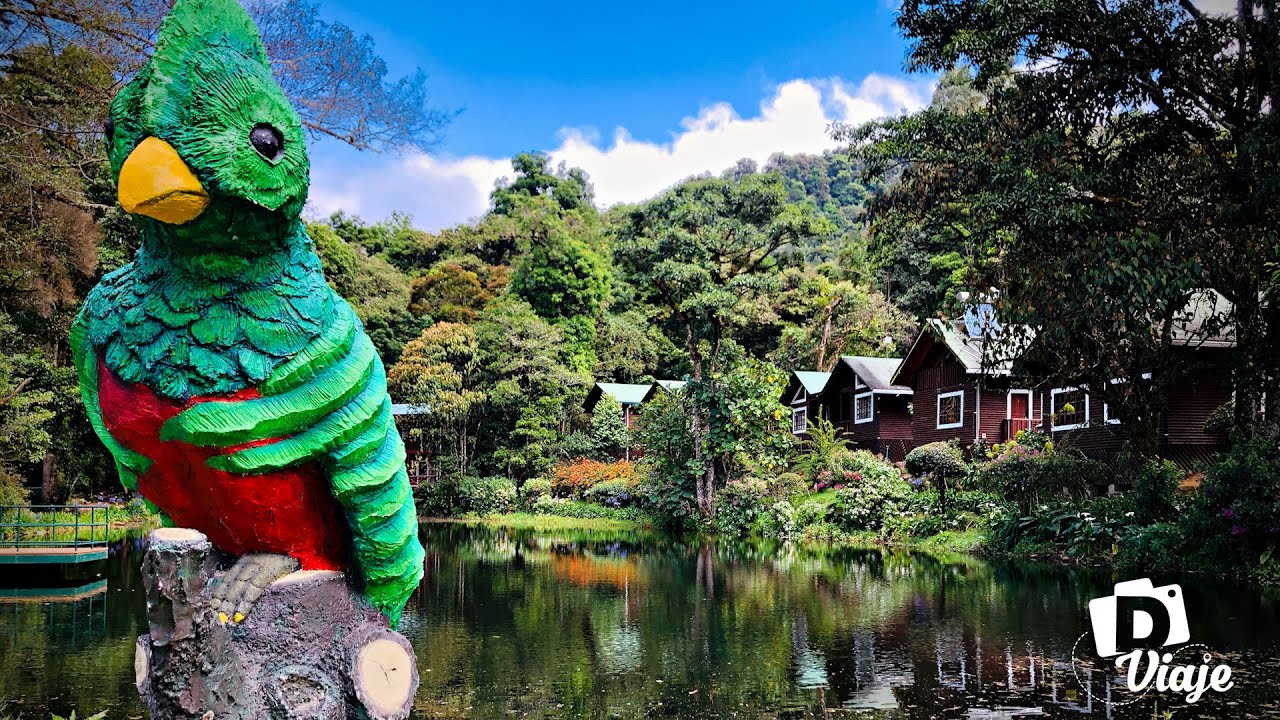 Sueños del Bosque Lodge... San Gerardo de Dota